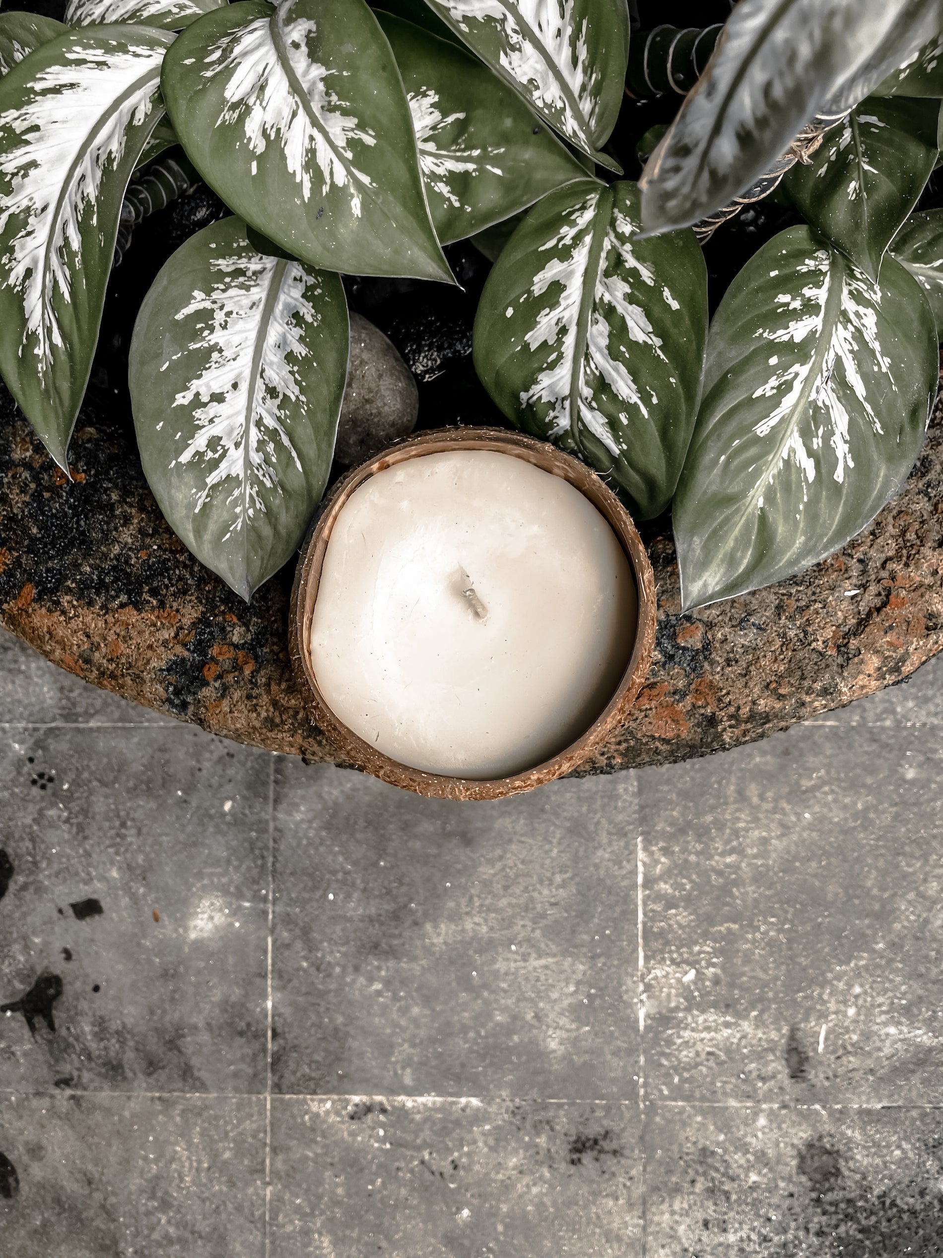 Coconut Candle - Natural Wax Candle - Boho Style Decor - Monnarita - handmade decor