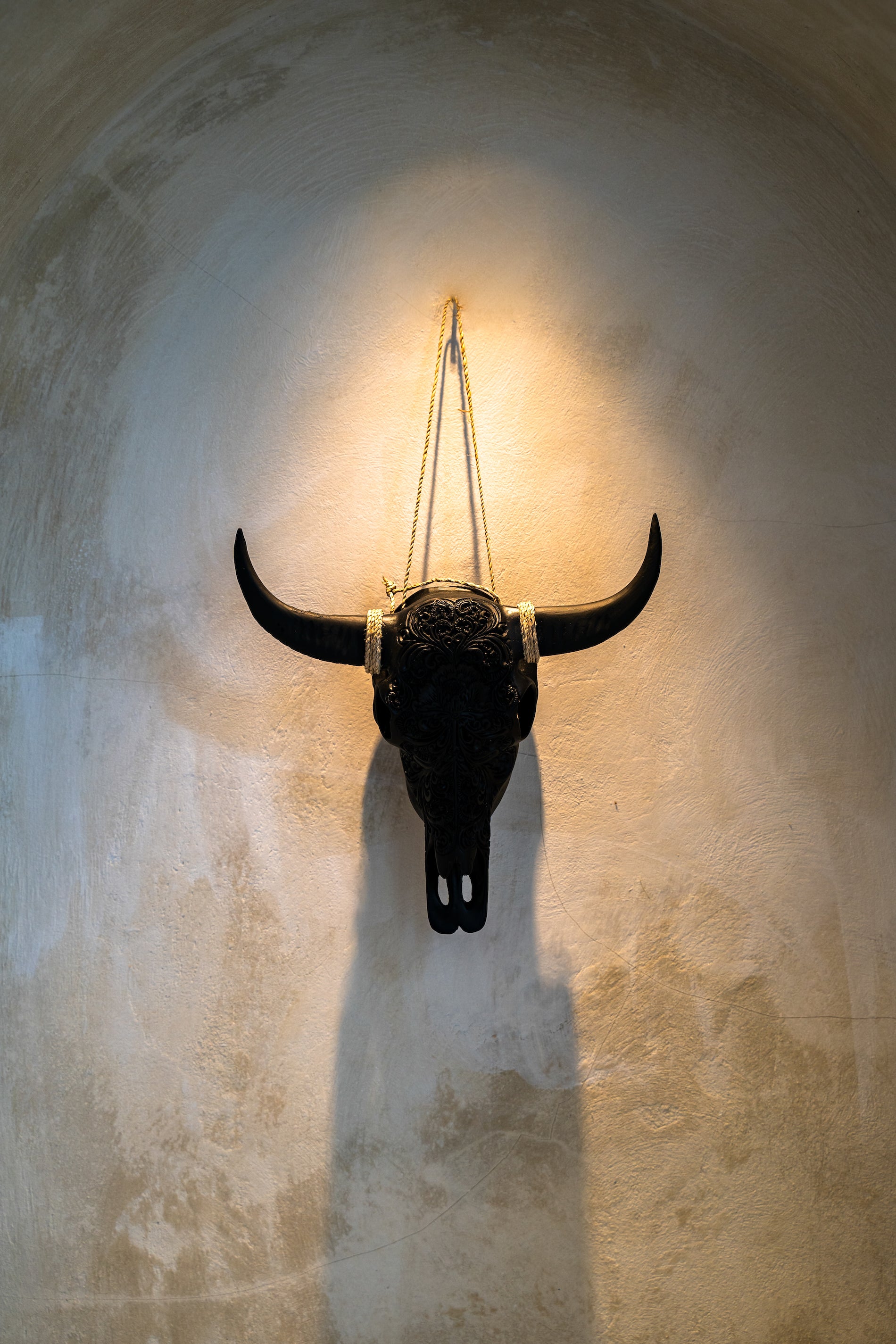 Bull Head Wall Decor: A Complete Guide for Home Decoration